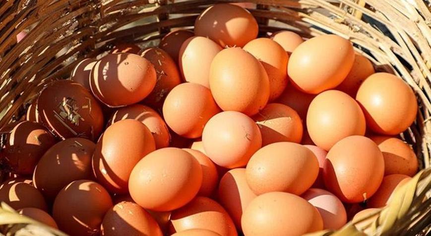 YUM-BİRden yumurta fiyatlarıyla ilgili açıklama