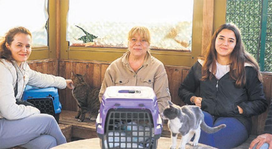 Buca’nın sessiz sakinlerine yardım eli