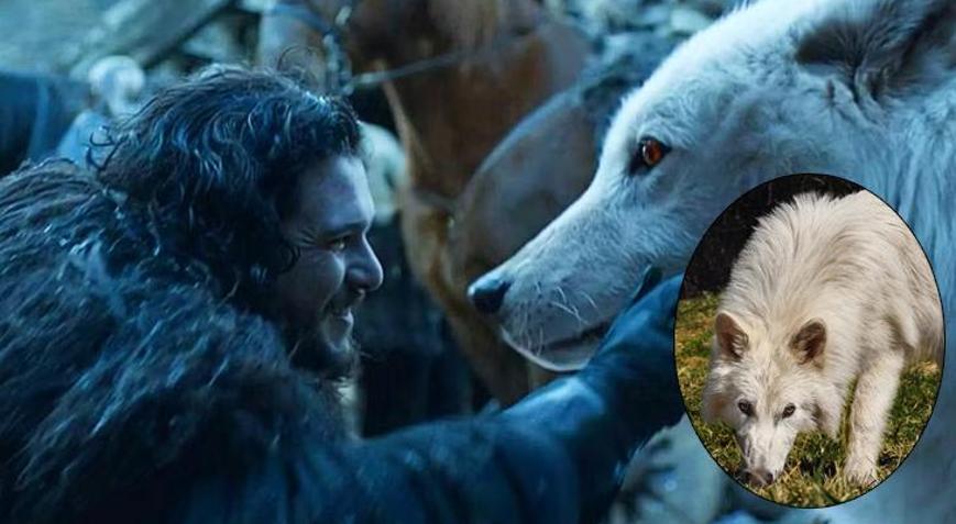 Game of Thronestaki soyu tükenen ulu kurtlar, 12 bin yıl sonra dünyaya geri döndü