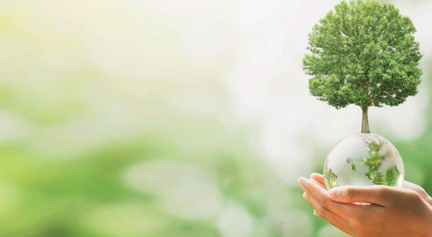 ‘Karbon emisyonu azaltılmalı’