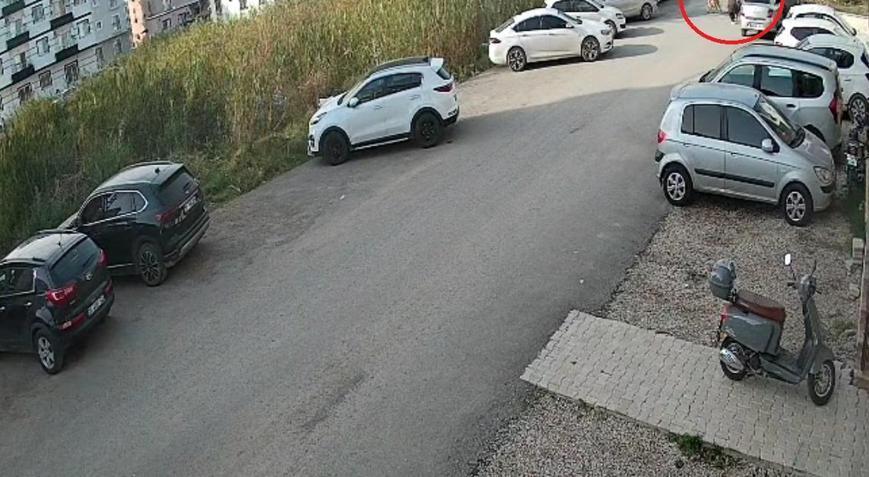 Sokak köpeklerinin saldırısı kamerada