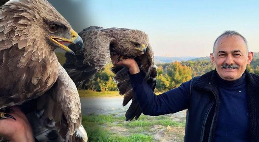 İstanbulda şaşırtan keşif Ot toplamaya giden vatandaş kartal buldu