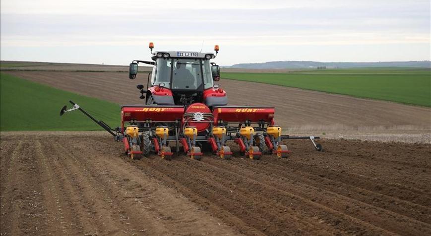 Ayçiçeğinde farklı ekim yöntemleri test edildi