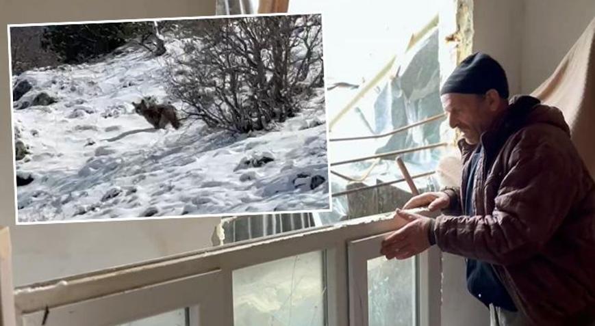 Köpek sesi çıkararak ayıdan kurtuldu: Televizyon ikiye bölünmüş