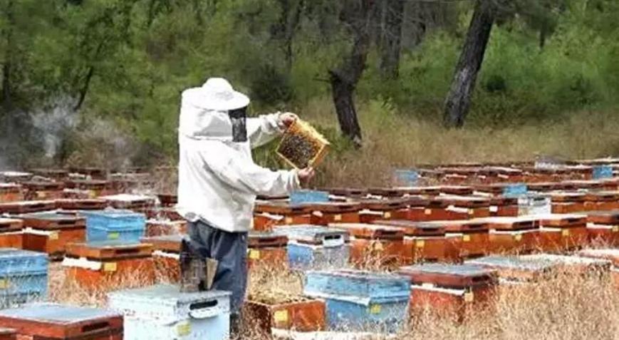 Adanada feci olay Üzerinde korumalı kıyafet olmasına rağmen arı soktu hayatını kaybetti