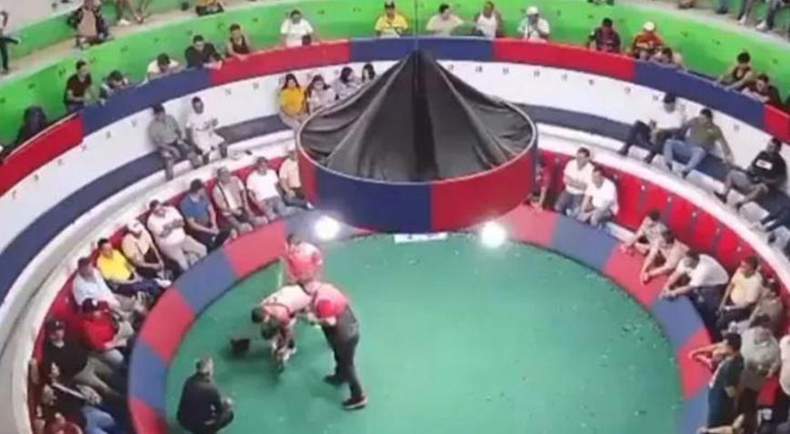 Horoz dövüşüne silahlı saldırı: 12 ölü