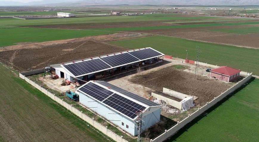 Devletten aldığı destekle çiftlik kurdu Hem et hem enerji üretiyor
