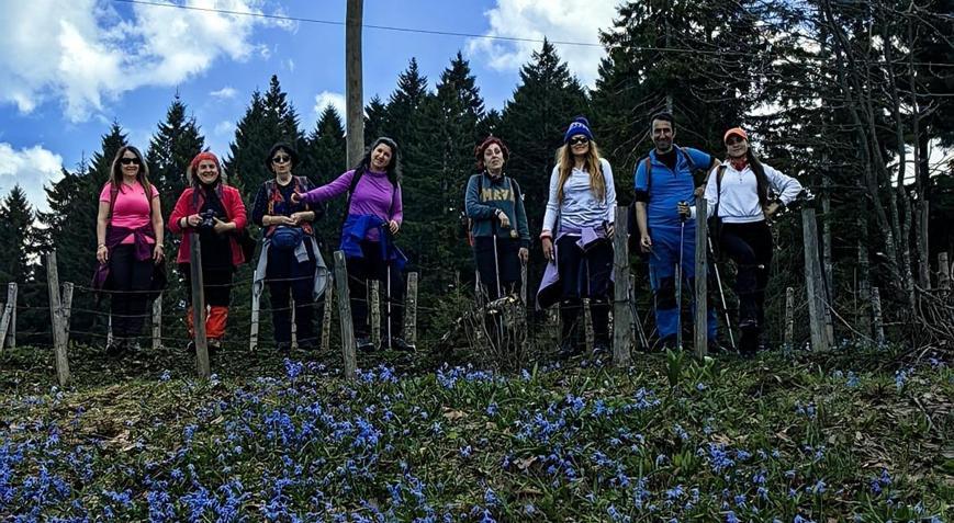 Mavi Yıldız Çiçeklerinin Açtığı Yaylada Yürüyüş