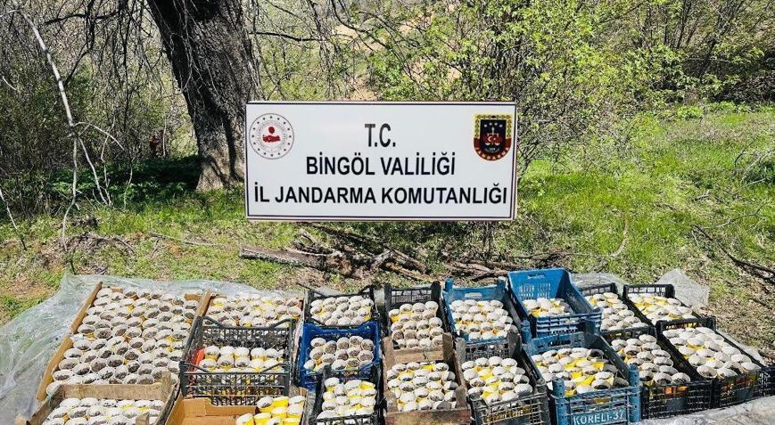 Bingölde Pet Bardaklarda 480 Kök Hint Keneviri Ele Geçirildi