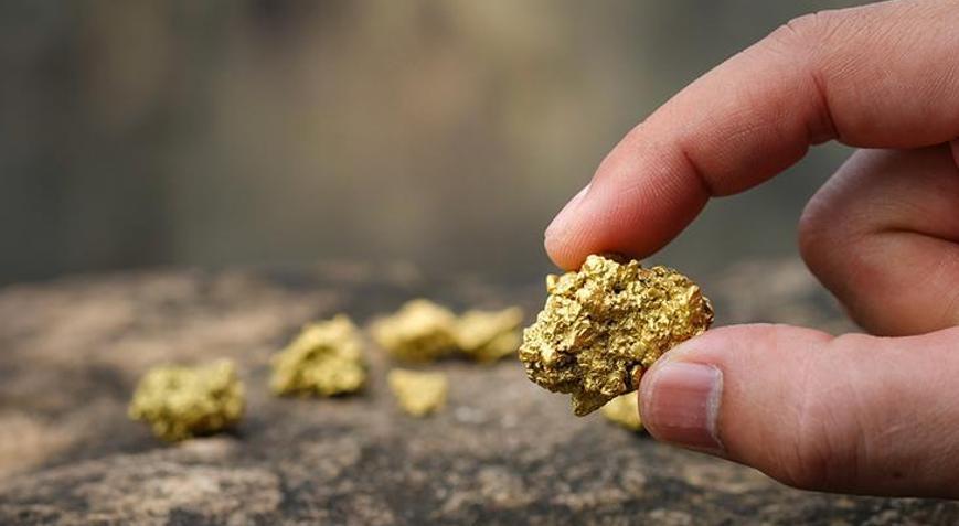Arazisinde 150 tondan fazla altın çıktı Son yıllarda yapılan en büyük altın keşfi
