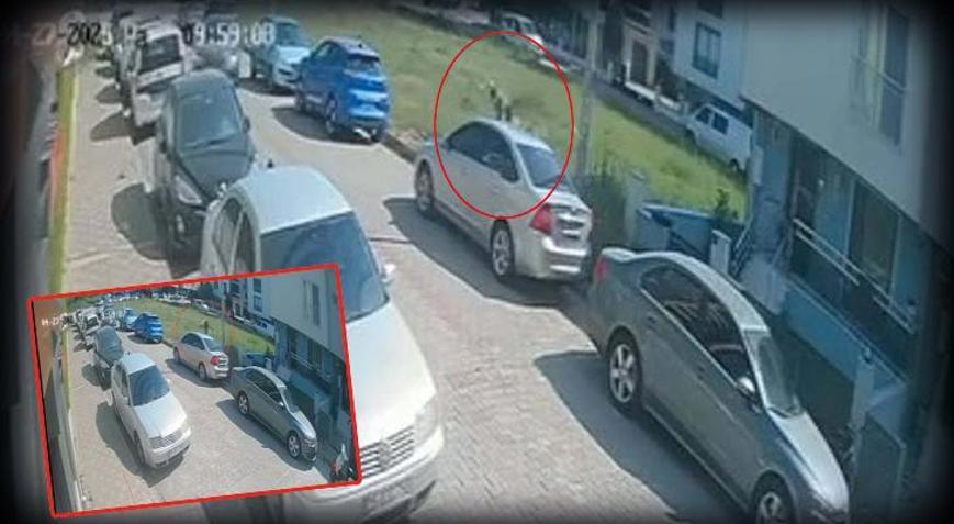 Aydında 17 yaşındaki çocuk kabusu yaşadı Köpeklerden kaçmak isterken arabaya çarptı
