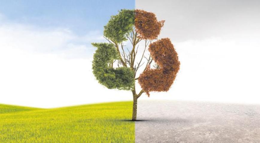 Kalkınmaya çevreci destek