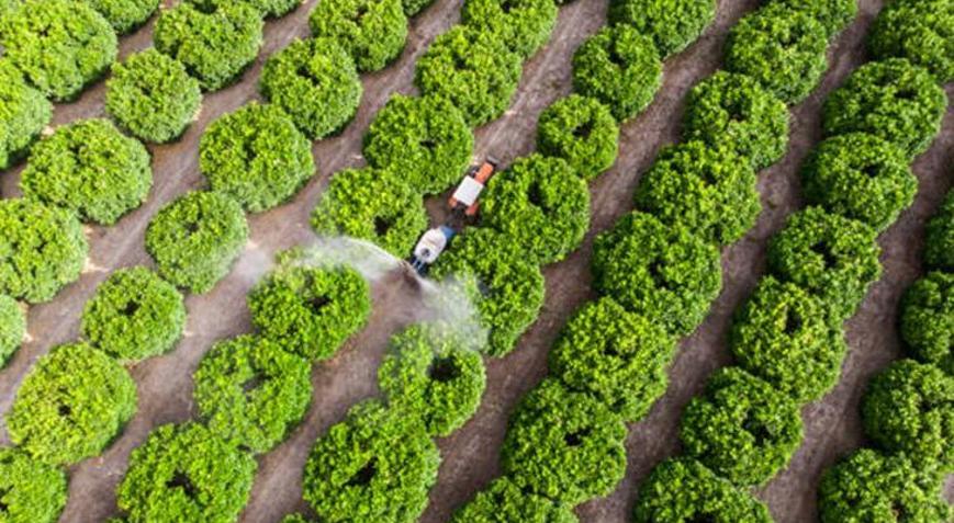 61 ÜRÜNDE PESTİSİT ÇIKTI PFAS VE PESTİSİT NEDİR, TEHLİKELERİ NELERDİR Pestisit sağlığa zararları neler