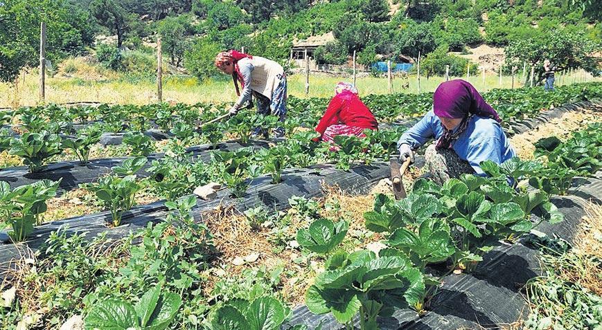 Gençler ve kadınlar doğduğu yerde doymalı