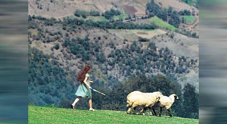 Kısaların en iyileri