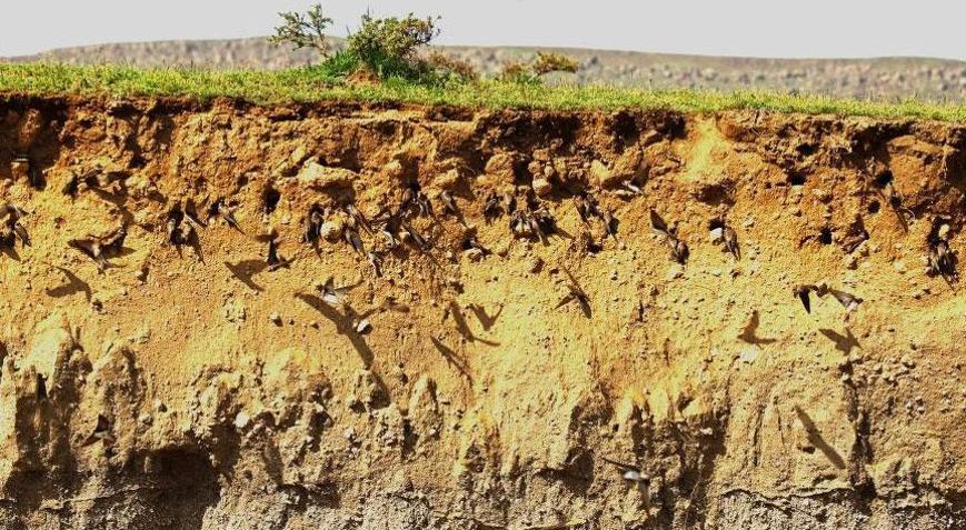 Türkiyenin tropikal vahası Akın ettiler, inanılmaz manzara