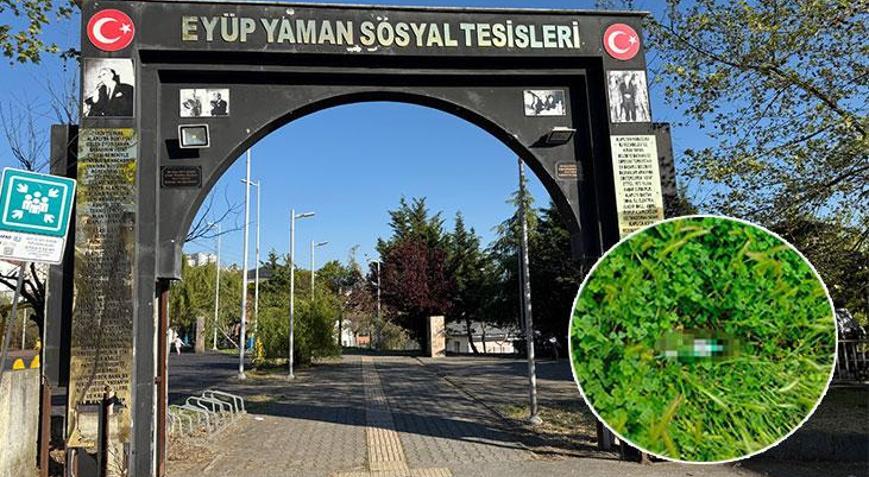 Parkta alkol alanların bıraktıkları şişedeki içkiyi su zannederek içen çocuk hastanelik oldu
