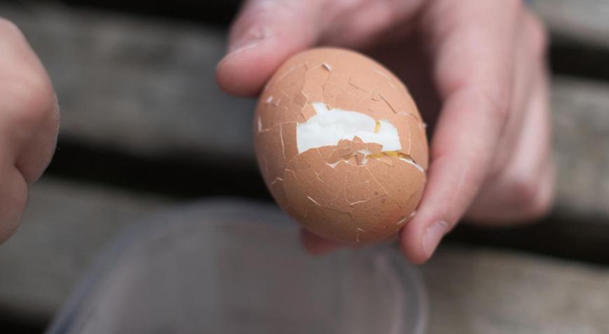 Yumurta kabukları soyulmuyorsa çözümü çok basit Kabukları fıstık gibi soyulacak