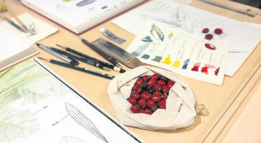 Anadolu’da her bitki bir hikâye