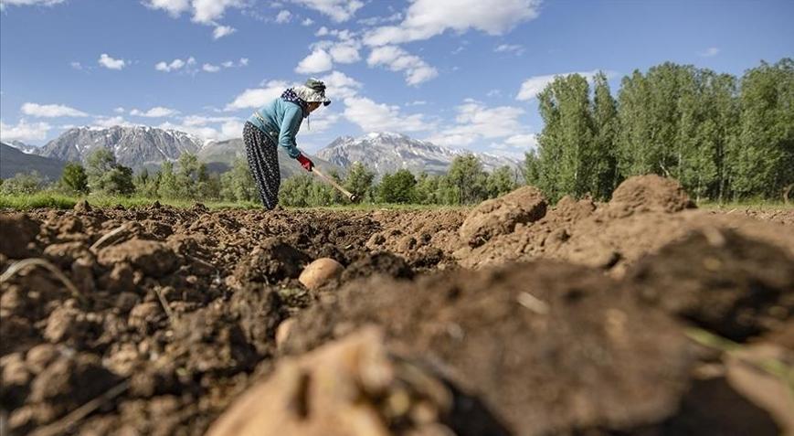 Çiftçilere 3,3 milyar lira destek ödemesi bugün yapılacak