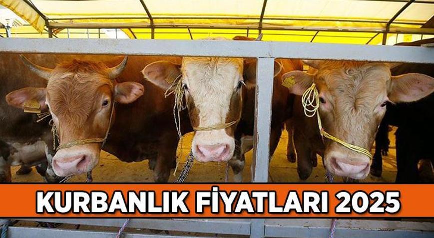 Kurbanlık fiyatları 2025 ne kadar Küçükbaş ve Büyükbaş kurbanlık fiyatı kaç TL Vekaletle kurban kesim bedeli yurt içi, yurt dışı kaç para