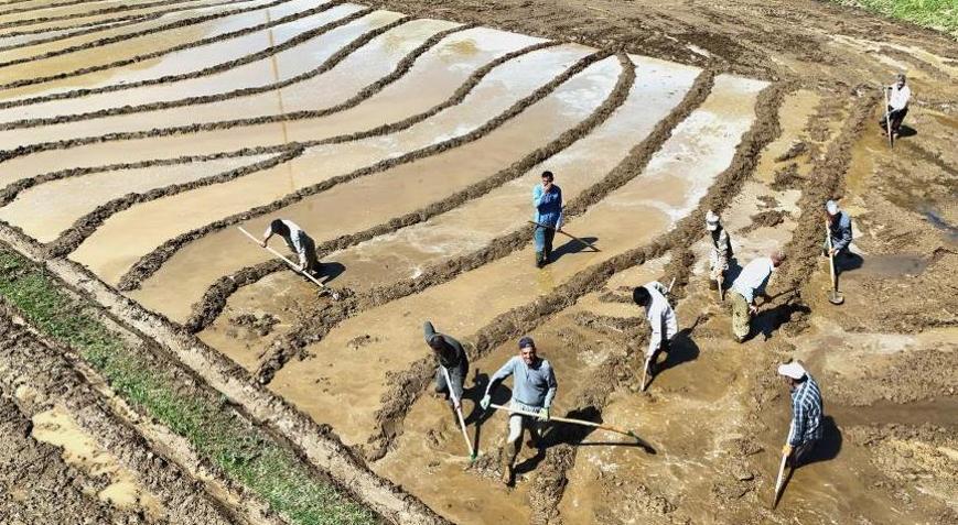 400 yıllık gelenek Sabah 5’te kalkıyorlar, ne traktör var ne makine: Dededen babadan kalma