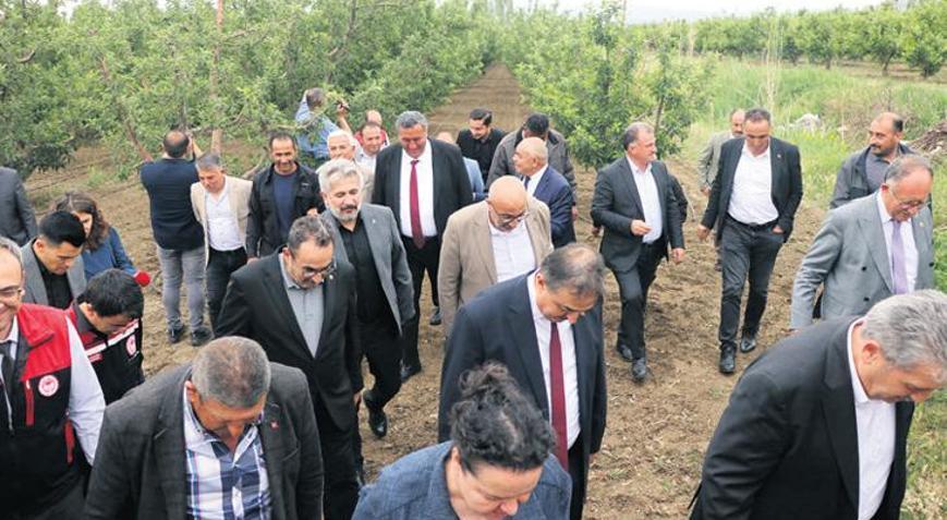 Zirai donun etkisi 2–3 yıl sürebilir