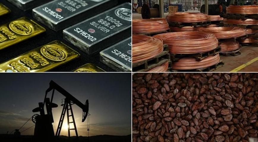 Emtia piyasası geçen ay yükseldi