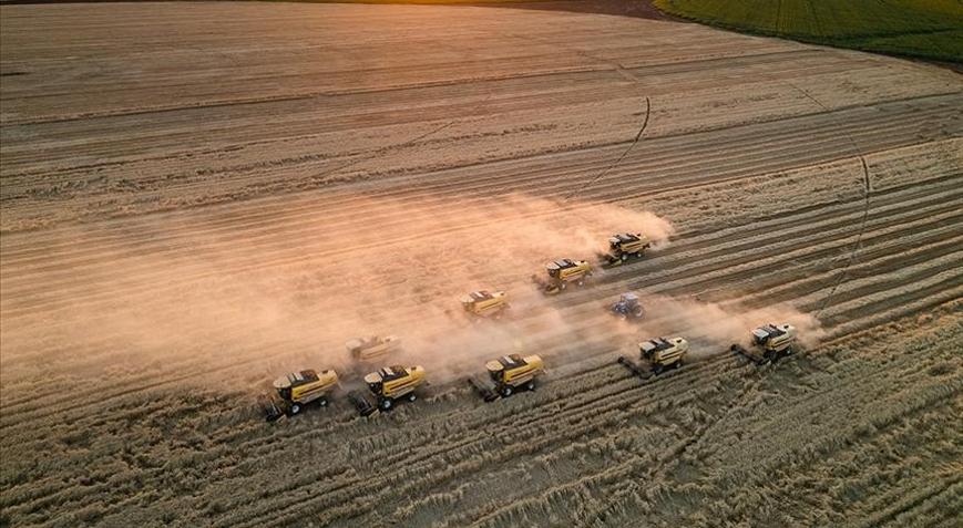 Tarım ÜFE mayısta arttı