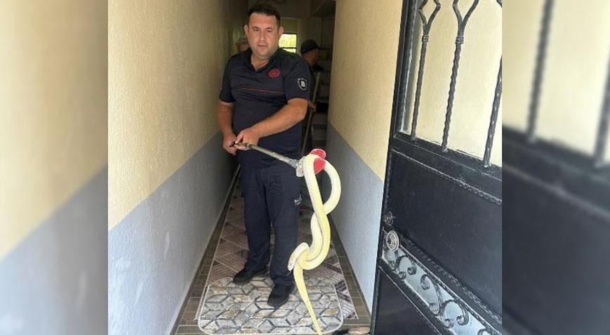 Yer: Balıkesir Ev sahibi dev yılanla karşılaşınca şoke oldu