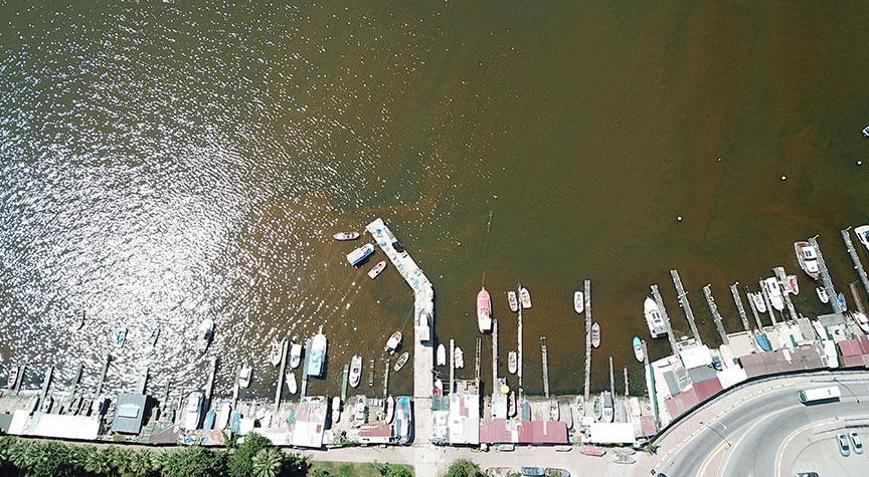 Marmara için yeni uyarı Deniz rengi değişti, tehlike çanları çalıyor
