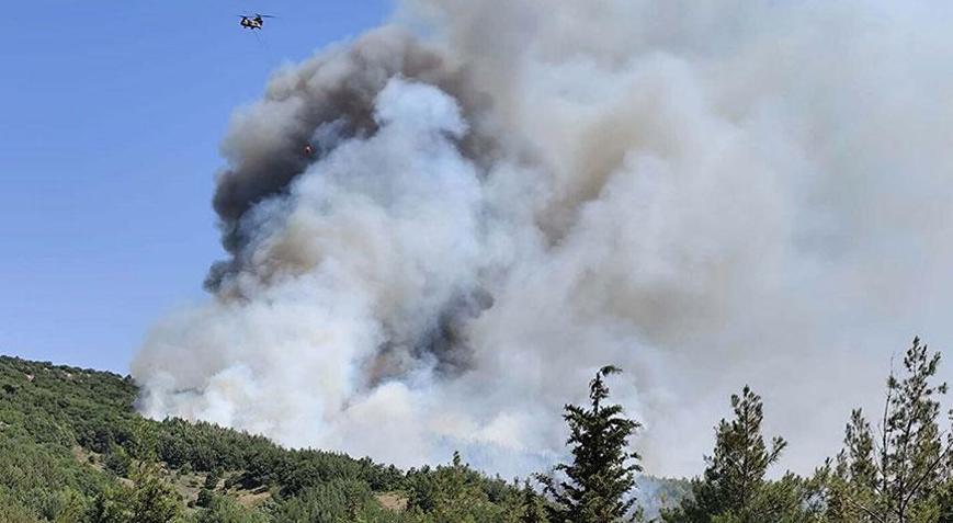2 kentte yangın paniği Havadan ve karadan müdahale