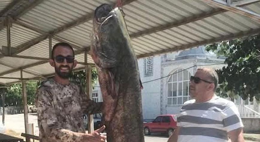 Meriç Nehrinde 80 kilogramlık yayın balığı yakalandı Meriç Nehrinde yakalanan dev Kem