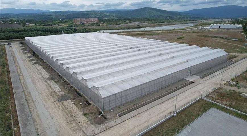 Zonguldaktaki sera organize tarım bölgesi ekonomiye yıllık 750 milyon lira katkı verecek