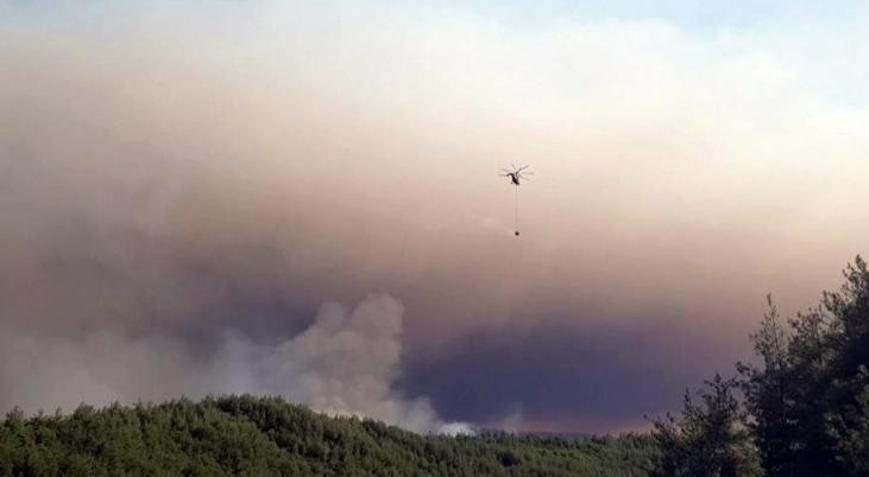 Bilecikteki orman yangınında 3 gözaltı