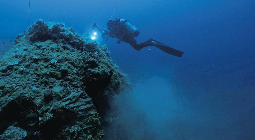 Denizler hayalet ağlardan arınıyor