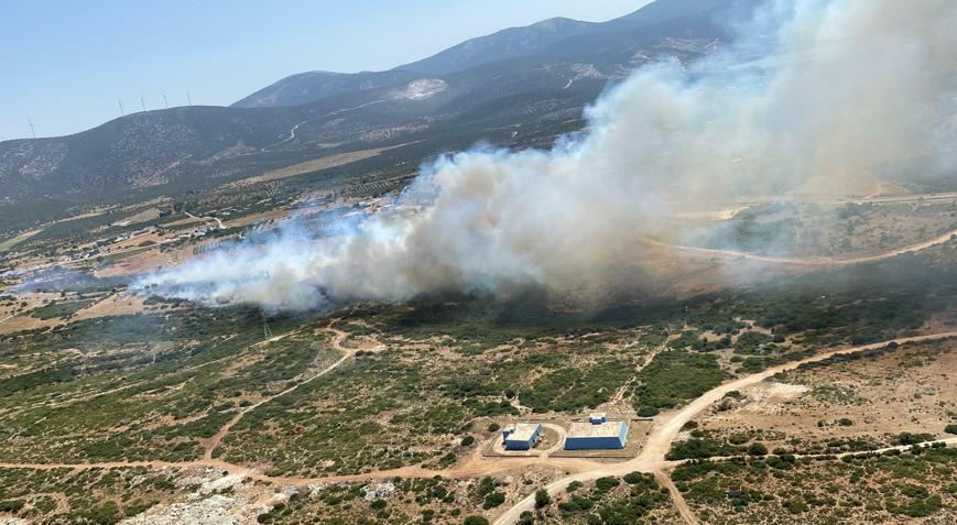 Aydın’da maki yangını