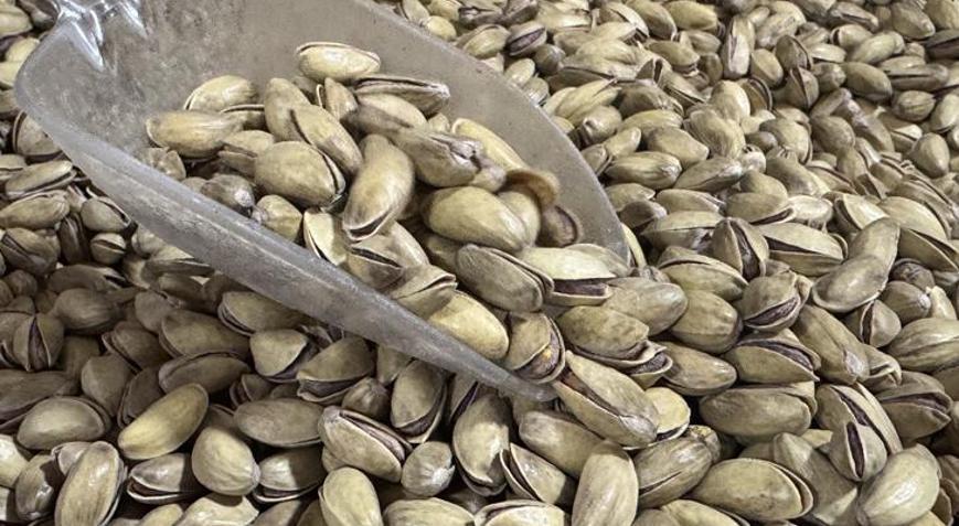 Antep fıstığı ihracatı yılın ilk yarısında arttı