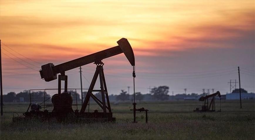 IEAdan petrol açıklaması