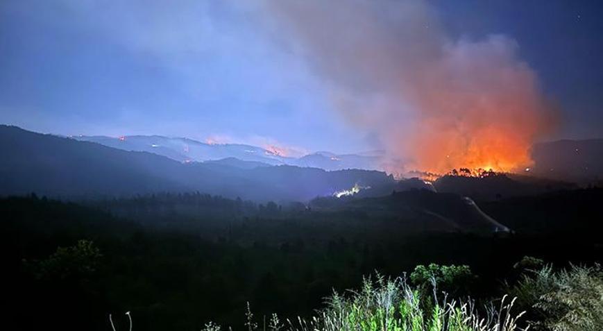 Suriye sınırında orman yangınına müdahale sürüyor Ekipler tayakkuzda