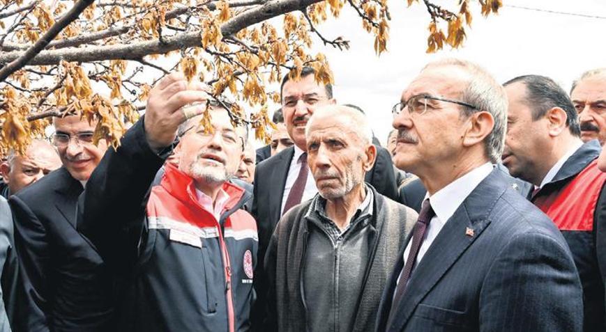 Tarım sigortasında zirai don dikkat çekti