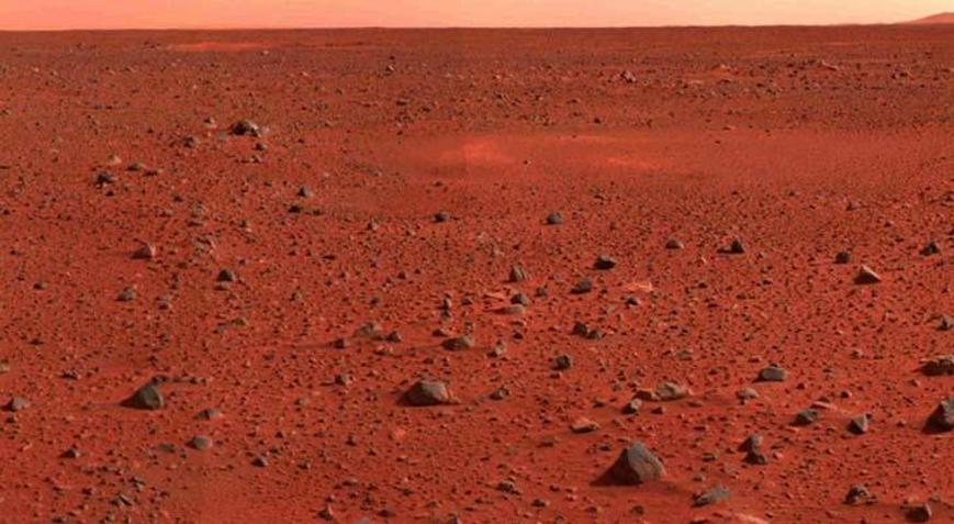 225 milyon km uzaktan geldi, Dünyada rekor fiyata alıcı buldu