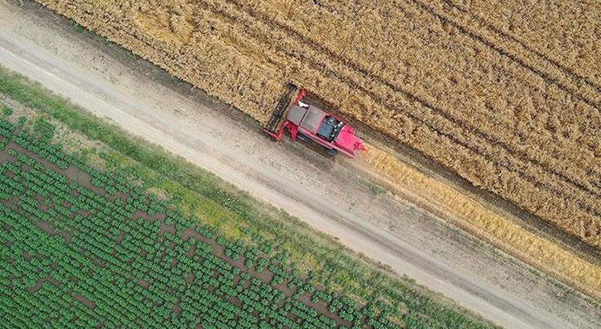 Çiftçilere 1,7 milyar liralık destekleme ödemesi bugün yapılacak