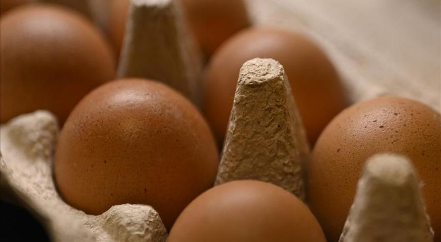 Sofralık yumurta ihracatında uygulanan fon kesintisi kaldırıldı