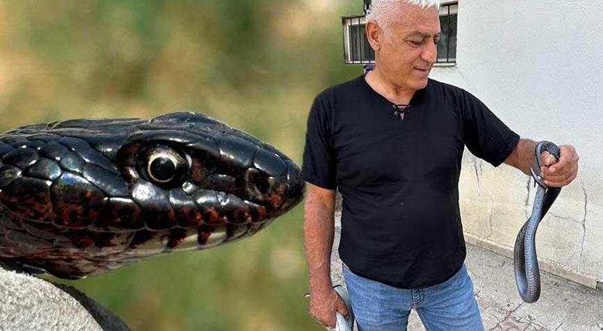 Yer: Tunceli Tuvalete giren dev yılan korkuttu