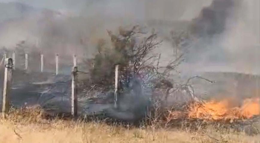 Tarım arazisinde çıkan yangın, erken müdahaleyle söndürüldü