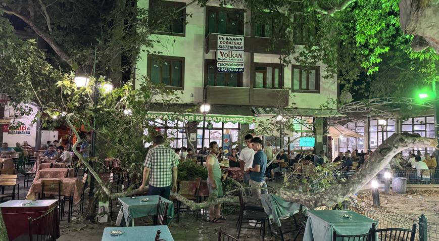 Anıt ağacın dalı düştü: 1 yaralı
