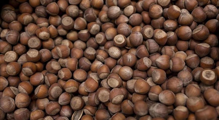 Türkiye fındık ihracatından 7 ayda 1,3 milyar dolar sağladı - Son Haberler - Milliyet