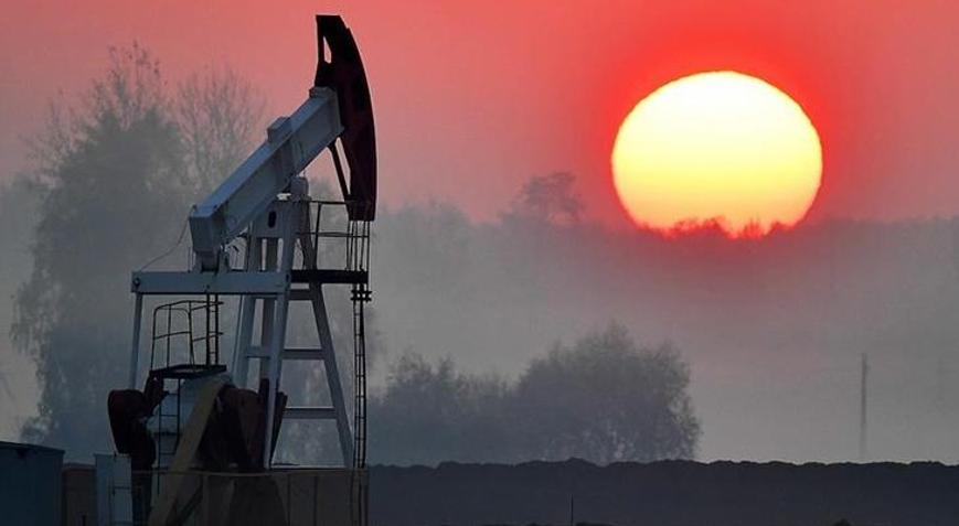 Rusyanın petrol ve doğal gaz gelirleri azaldı