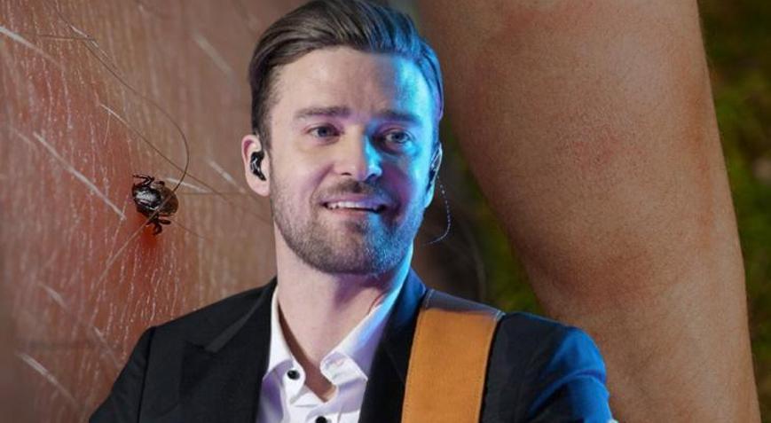Kalpten beyne yayılan kene tehdidi Justin Timberlake de listede: İlk sinyal yorgunluk